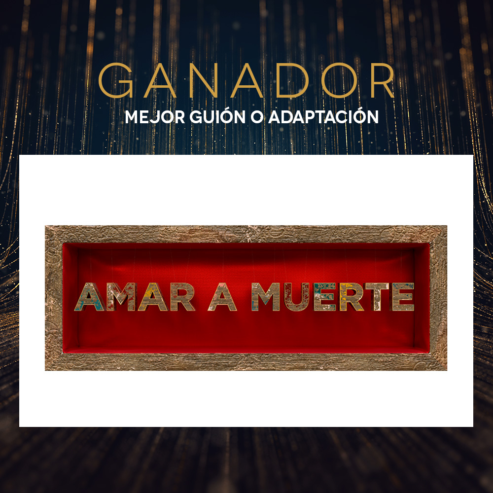 PremiosTVyN-Post-Ganador-GuionAdaptación