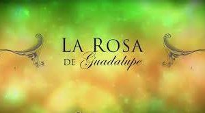 La Rosa de Guadalupe Las Estrellas Televisa Canal 2 logo