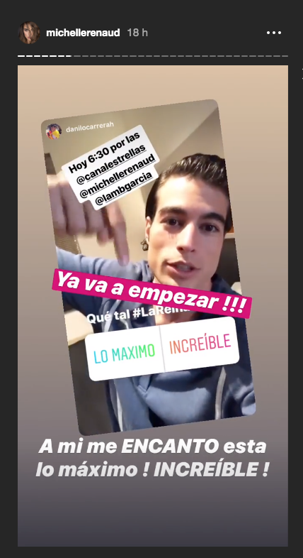 Instagram @michellerenaud
