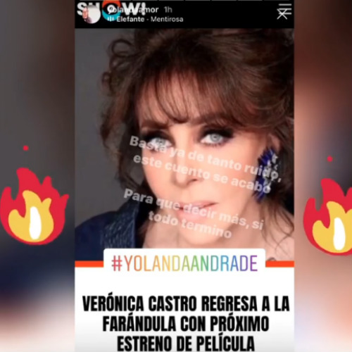Yolanda Andrade llama "mentirosa" a Verónica Castro. Foto: Instagram