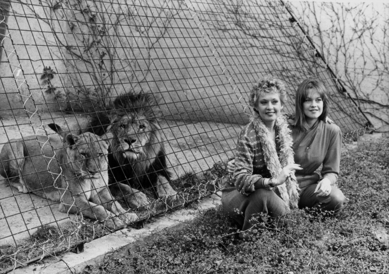 Animales exóticos que conquistaron a los famosos