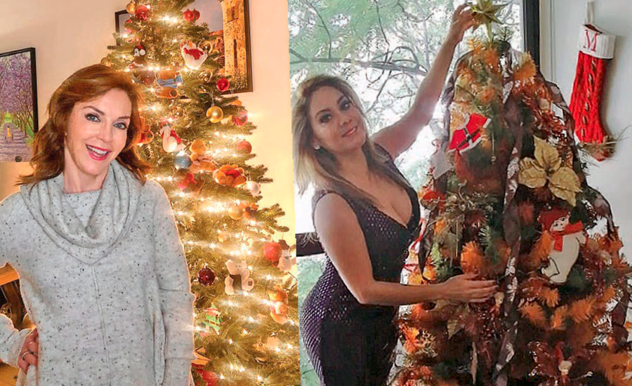 Famosos en Navidad 2020
