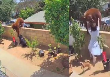 Joven enfrenta a oso